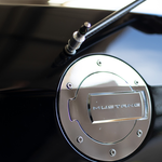 THE POLISHED KNOB